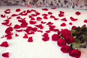 bouquet from red roses and scattered petals on a bed beautiful places to stay in Duluth MN